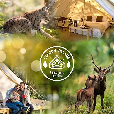 Cocoon Village - Glamping - Domaine Des Grottes De Han Rochefort Kültér fotó