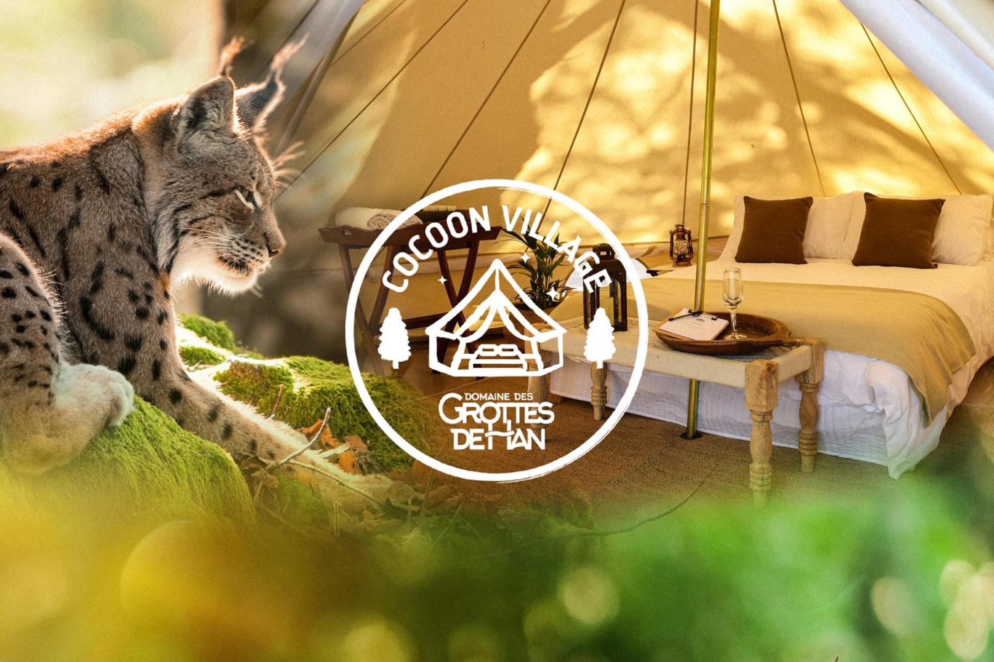 Cocoon Village - Glamping - Domaine Des Grottes De Han Rochefort Kültér fotó