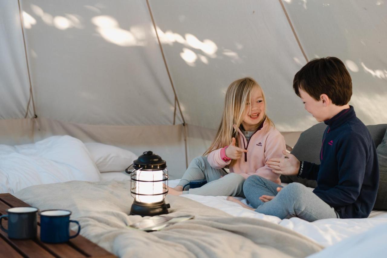 Cocoon Village - Glamping - Domaine Des Grottes De Han Rochefort Kültér fotó