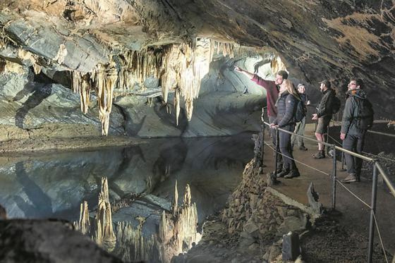 Cocoon Village - Glamping - Domaine Des Grottes De Han Rochefort Kültér fotó