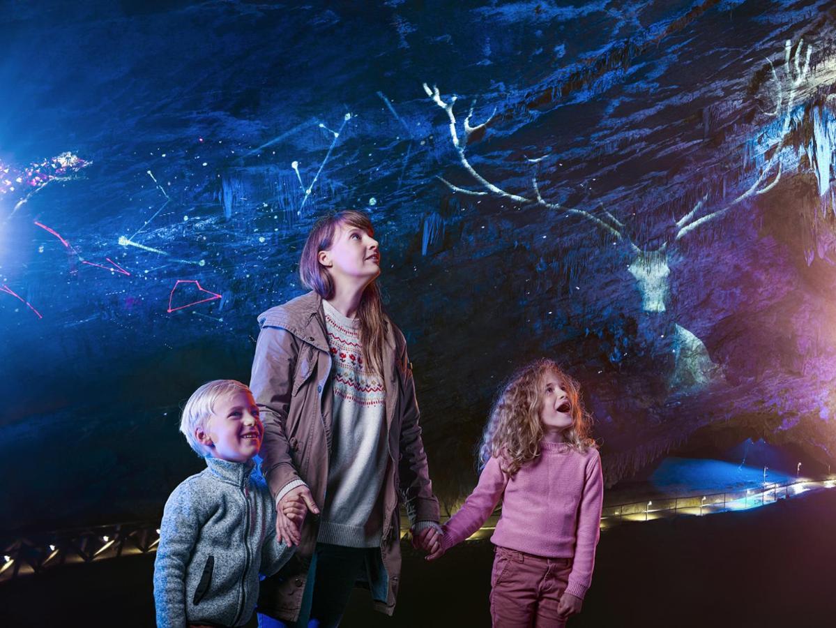 Cocoon Village - Glamping - Domaine Des Grottes De Han Rochefort Kültér fotó